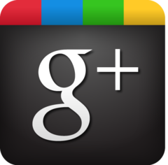 Social Media Management Ann Arbor Google Plus